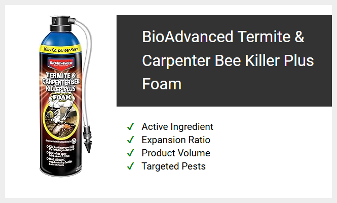 BioAdvanced Termite & Carpenter Bee Killer Plus Foam