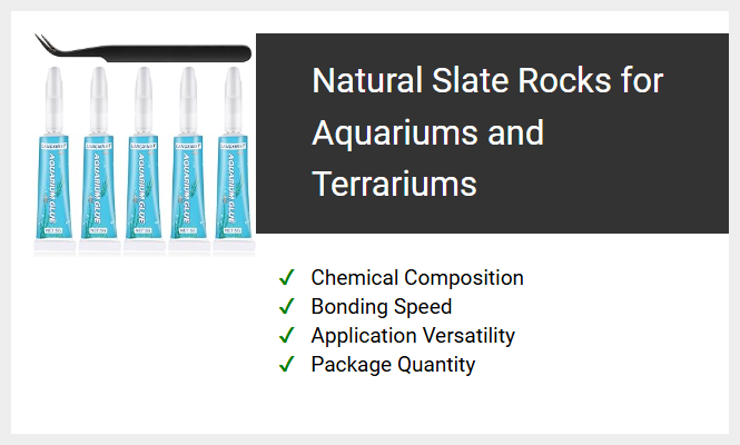 Natural Slate Rocks for Aquariums and Terrariums