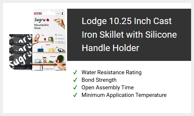 Lodge 10.25 Inch Cast Iron Skillet with Silicone Handle Holder